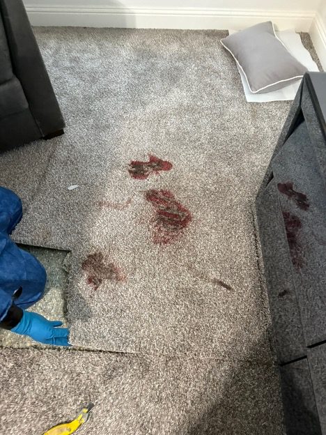 blood-cleanup-3
